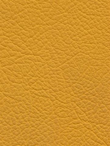 Autolæder Premium - Yellow (Helt hud)